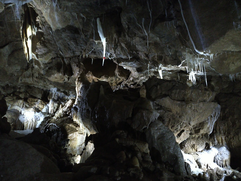 Herbstlabyrinth (Adventhöhle) 2022 (2/18) (Image 2/18)