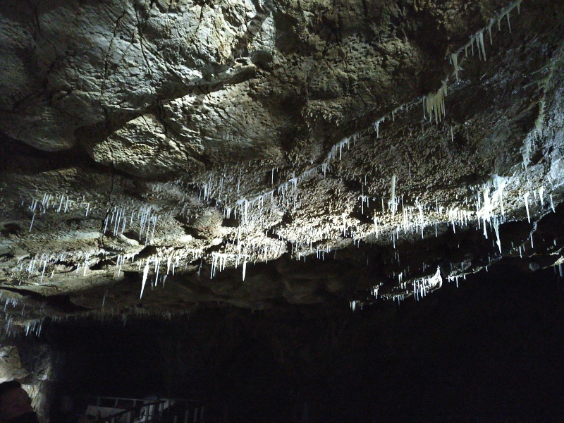 Herbstlabyrinth (Adventhöhle) 2022 (7/18) (Image 7/18)