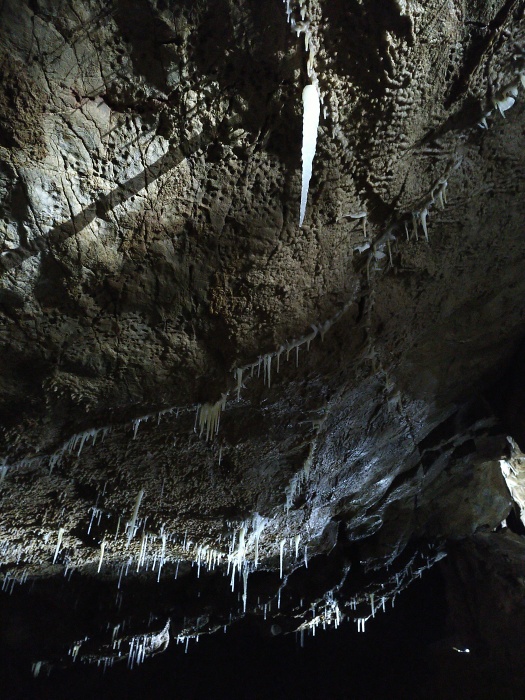 Herbstlabyrinth (Adventhöhle) 2022 (9/18) (Image 9/18)