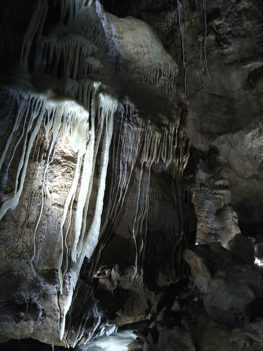 Herbstlabyrinth (Adventhöhle) 2022 (13/18) (Image 13/18)