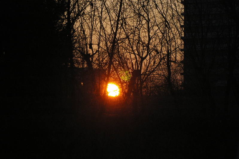 Tiergarten Heidelberg 1 (12/25) (Image 12/25)