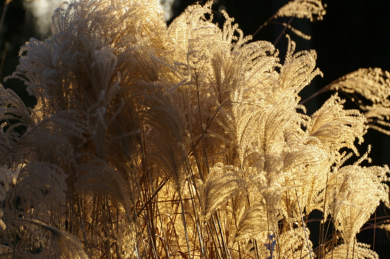 Tiergarten Heidelberg 2 (16/33) (Image 16/33)