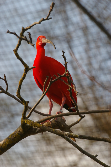 Tiergarten Heidelberg 3 (38/68) (Image 38/68)