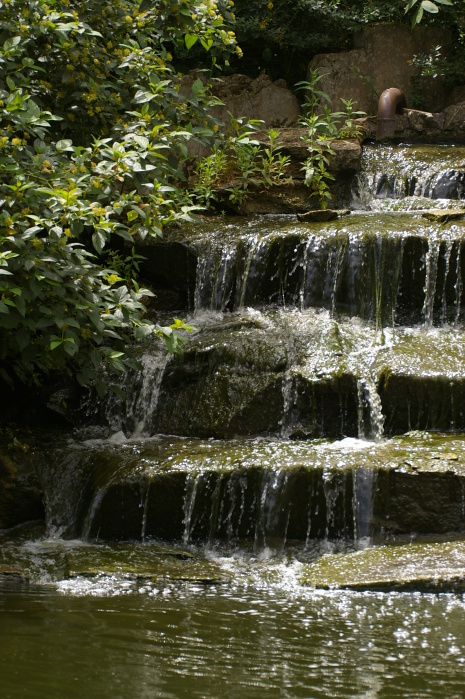 Tiergarten Heidelberg 4 (36/40) (Image 36/40)