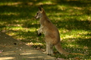 Tiergarten Heidelberg, 30. April 2011: 800x531, 512BB